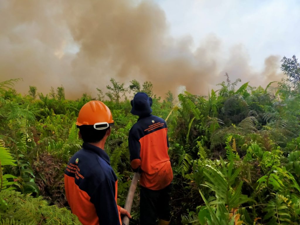 Early forest fires raise alarm over Indonesia’s climate targets
