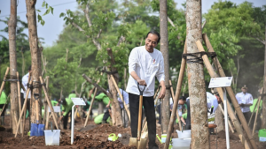 Simultaneous Tree Planting: President Jokowi affirms steps to address climate change