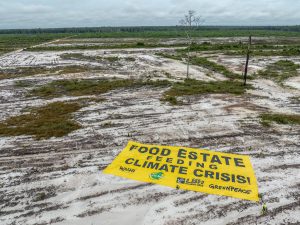 Masyarakat sipil Indonesia desak pemerintah tekan dampak krisis iklim dan desak tindakan global di COP28