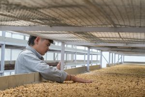 PGE collaborates with communities around Kamojang, building a circular economy