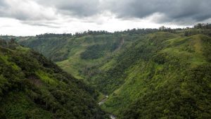 USD 42 million program launched to safeguard primary forests in Southeast Asia and the Pacific
