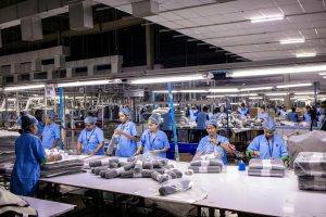 Observer: Local component essential in energy transition, building foundation of local industry and innovation