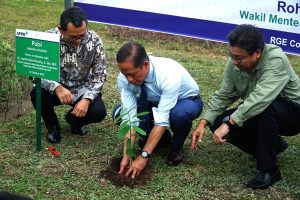 Indonesia tempatkan restorasi lahan gambut sebagai inti dari strategi ketahanan iklim