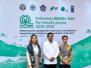 Indonesia perkuat kepemimpinan global dalam implementasi REDD+, mitigasi perubahan iklim