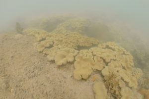 Inside the global trade of illegal tin from Bangka Belitung (Part 3 of 3)