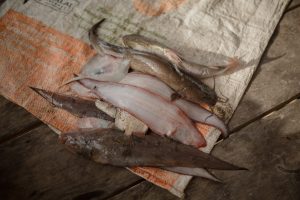 Inside the global trade of illegal tin from Bangka Belitung (Part 2 of 3)