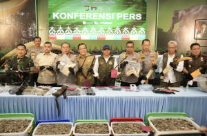 15 orang ditangkap dalam sindikat perburuan gajah brutal di Riau.