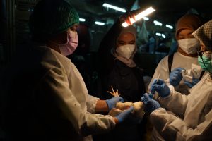 WHO commends Indonesia’s leadership in tackling zoonotic disease risks