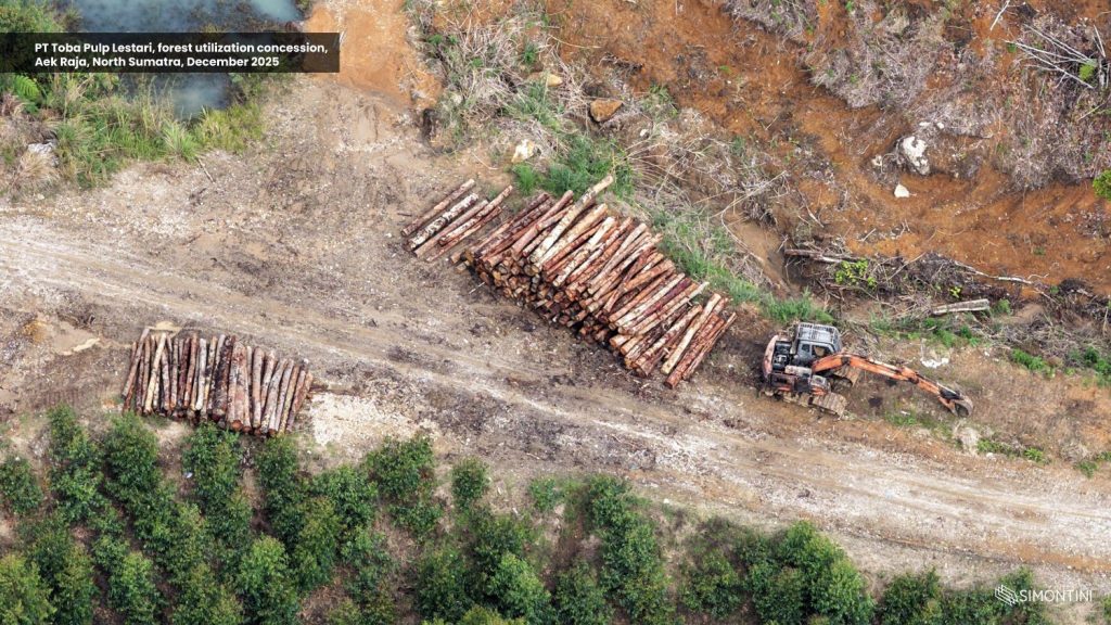 Deforestation in Indonesia surges 66% in 2025, driven by policy and commodity expansion