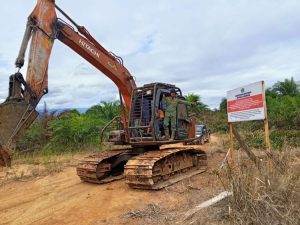 Indonesia cracks down on illegal palm oil expansion in Seblat elephant habitat