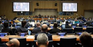UN Forum on Forests calls for faster action to halt deforestation