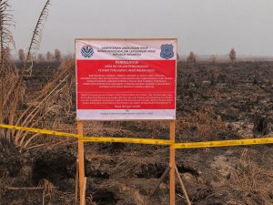 Indonesia probes 42 companies over fires, arrests Vietnamese in wildlife case