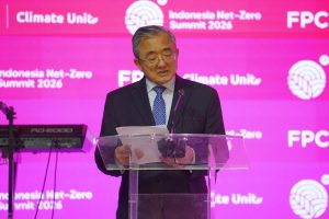 South-South cooperation could become cornerstone of Indonesia’s energy transition, Chinese officials say