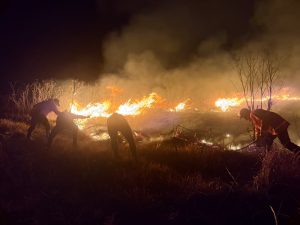 Kebakaran Gunung Bromo meluas, musim kemarau di Indonesia meluas