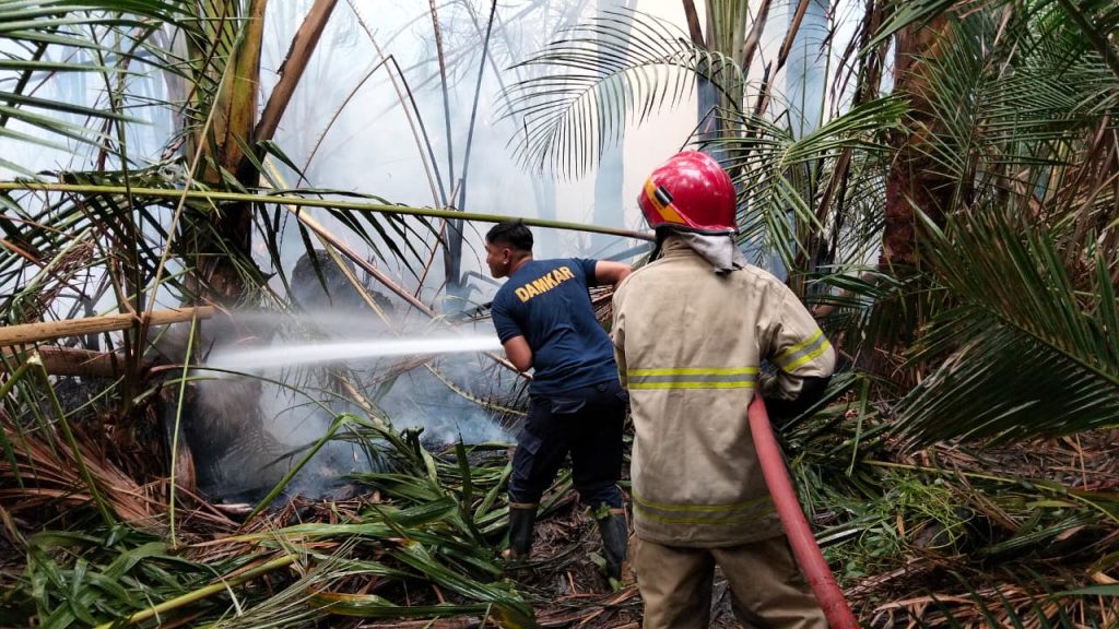 Fire hotspots fall in four priority provinces despite national rise