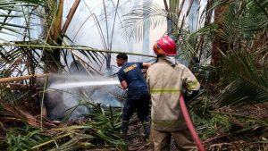 Fire hotspots fall in four priority provinces despite national rise