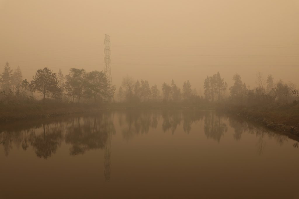 Indonesia fires estimated to have caused 1,700 deaths in August: CREA