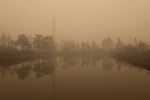 Indonesia fires estimated to have caused 1,700 deaths in August: CREA