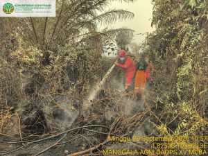 Indonesia revokes five company permits over forest, land fires as hotspots rise
