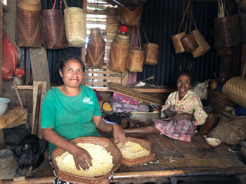 Ancestral seeds, the key to food security in Indonesia’s indigenous communities
