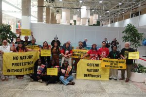 Indonesia urged to strengthen biodiversity protection ahead of COP18 bid