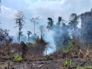 Indonesia perlu lebih dari sekadar stop pembakaran untuk cegah karhutla